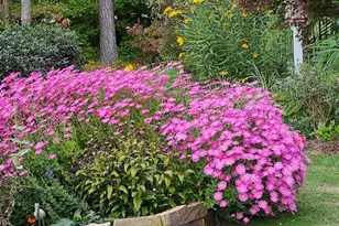 8409 Passage Marseille Ct, Raleigh, NC 27615 - Photo 42