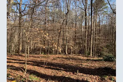 0 Washington and Smith Street, Clayton, NC 27520 - Photo 4