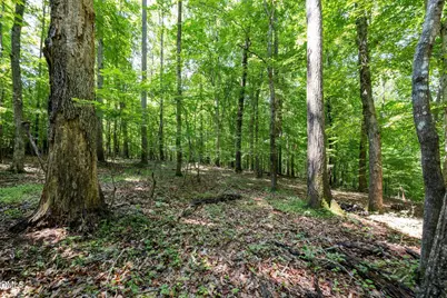 6910 Long Meadow Lane, Whitsett, NC 27377 - Photo 12