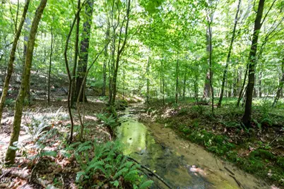 6910 Long Meadow Lane, Whitsett, NC 27377 - Photo 10