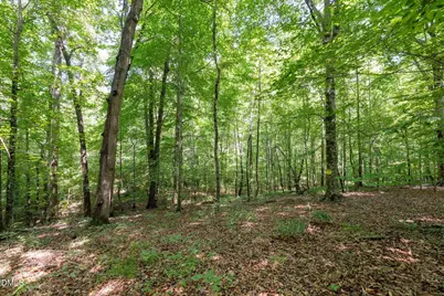 6910 Long Meadow Lane, Whitsett, NC 27377 - Photo 6