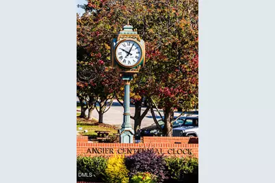 198 Hank Way, Angier, NC 27501 - Photo 44