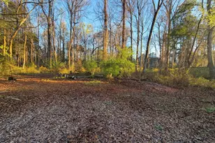 729 E Ivy Valley Dr, Fuquay Varina, NC 27526 - Photo 16