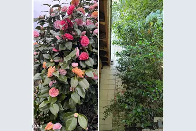 325 N Asheboro Street, Liberty, NC 27298 - Photo 6