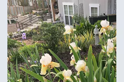 105 Fiori Hill Drive N, Hillsborough, NC 27278 - Photo 40