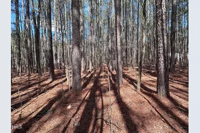 00 Slick Williams Road, Macon, NC 27551 - Photo 6