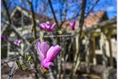 120 Little Doe Lane, Mebane, NC 27302 - Photo 64