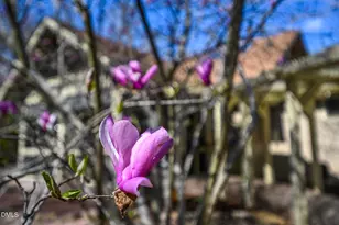 120 Little Doe Ln, Mebane, NC 27302 - Photo 64