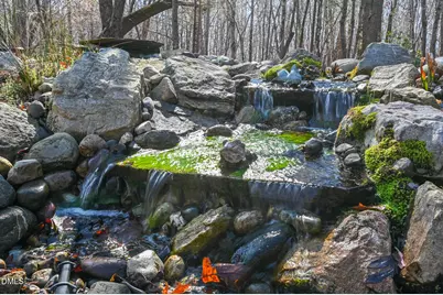 120 Little Doe Lane, Mebane, NC 27302 - Photo 58
