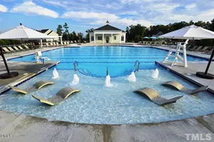 105 Carving Tree Ct, Holly Springs, NC 27540 - Photo 54