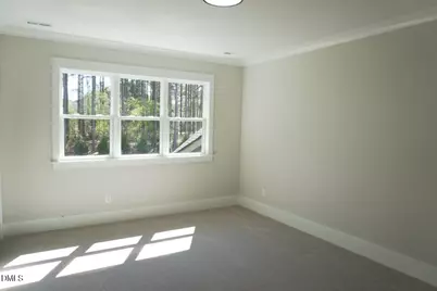 2805 Theresa Eileen Way, Raleigh, NC 27603 - Photo 32