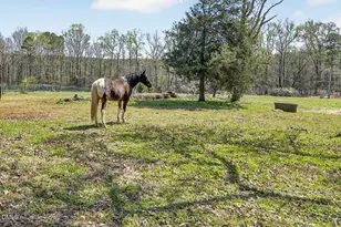 156 Meronies Church Rd, Bear Creek, NC 27207 - Photo 44