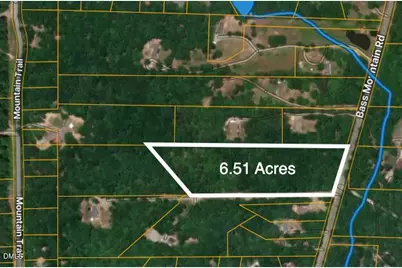 0 Bass Mountain Road, Snow Camp, NC 27349 - Photo 1