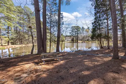 2117 Carriage Way, Chapel Hill, NC 27517 - Photo 40