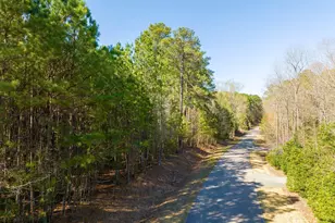 422 Lower Thrift Rd, New Hill, NC 27562 - Photo 12