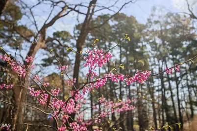 127 Glendale Drive, Chapel Hill, NC 27514 - Photo 62