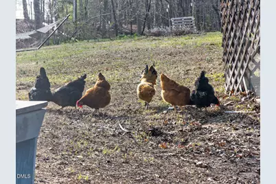 4316 Erwin Road, Durham, NC 27705 - Photo 56