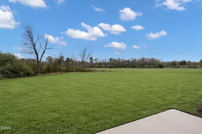 148 Blossom Field Way, Angier, NC 27501 - Photo 30