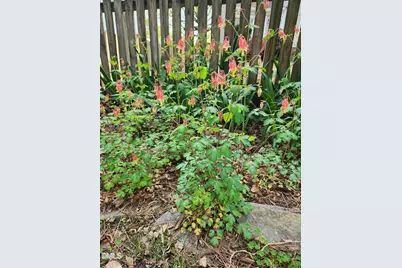 501 Samara Street, Apex, NC 27502 - Photo 70