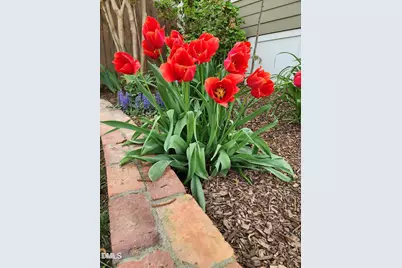 501 Samara Street, Apex, NC 27502 - Photo 64