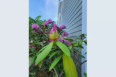 501 Samara Street, Apex, NC 27502 - Photo 76