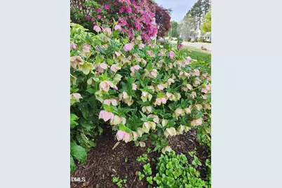 501 Samara Street, Apex, NC 27502 - Photo 68