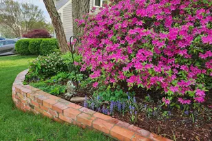 501 Samara St, Apex, NC 27502 - Photo 66