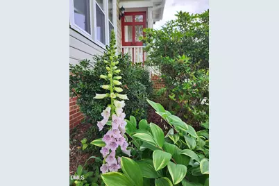 501 Samara Street, Apex, NC 27502 - Photo 62