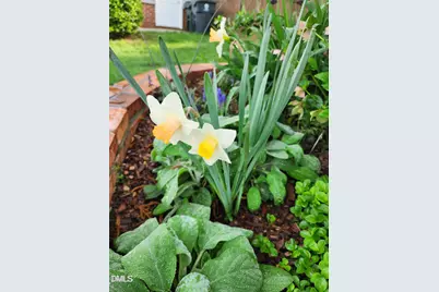 501 Samara Street, Apex, NC 27502 - Photo 66