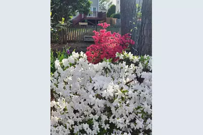 501 Samara Street, Apex, NC 27502 - Photo 58