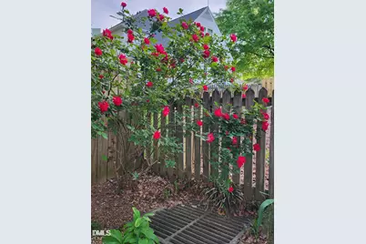 501 Samara Street, Apex, NC 27502 - Photo 60