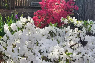 501 Samara St, Apex, NC 27502 - Photo 52