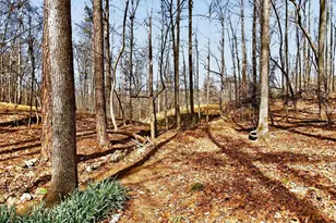 120 Holly Glade Cir, Holly Springs, NC 27540 - Photo 32