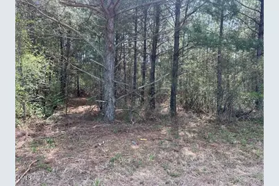 0 Mintz Road, Roseboro, NC 28382 - Photo 16