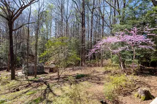 4013 St Edmunds Ln, Apex, NC 27539 - Photo 34