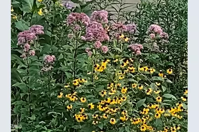 4013 Saint Edmunds Lane, Apex, NC 27539 - Photo 38