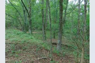 Lot 2 Caviness Jordan Road, Cedar Grove, NC 27231 - Photo 10