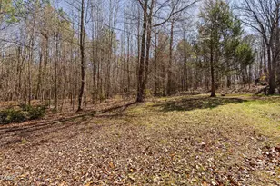 180 Normandy Rd, Louisburg, NC 27549 - Photo 64