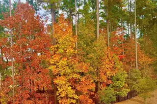 7224 Bedford Ridge Dr, Apex, NC 27539 - Photo 38