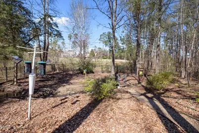 490 Bear Tree Creek, Chapel Hill, NC 27517 - Photo 56