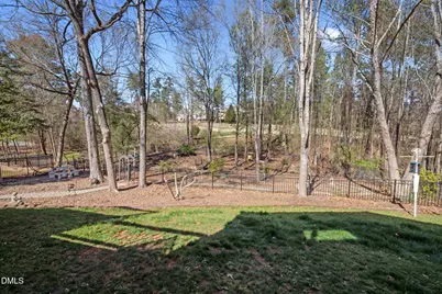 490 Bear Tree Creek, Chapel Hill, NC 27517 - Photo 54