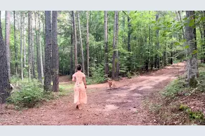 498 Auburn Lane, Pittsboro, NC 27312 - Photo 6