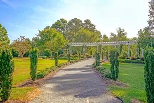 95 Pistoia Dr, Clayton, NC 27527 - Photo 54