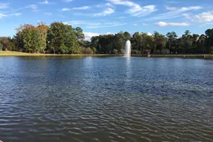 1213 Silver Beach Way, Raleigh, NC 27606 - Photo 44