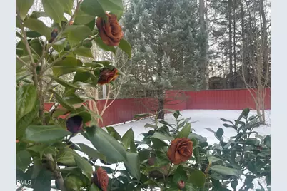 4045 Joe Hamme Road, Oxford, NC 27565 - Photo 10