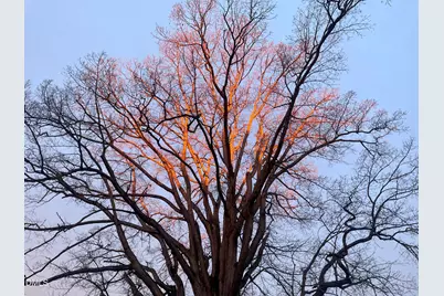 4045 Joe Hamme Road, Oxford, NC 27565 - Photo 6