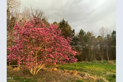 4045 Joe Hamme Road, Oxford, NC 27565 - Photo 4