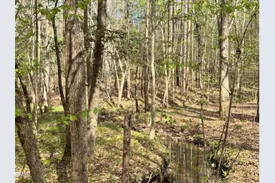 0 Westerman Place, Smithfield, NC 27577 - Photo 2