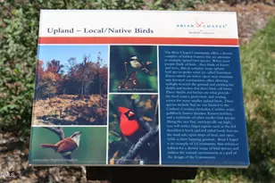 371 Wildwind Dr, Chapel Hill, NC 27516 - Photo 68