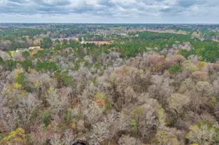 259 Heathers Folly Rd, Watha, NC 28478 - Photo 56